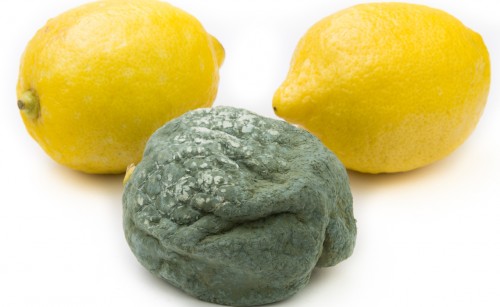 Food loss - lemons
